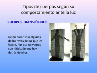 Tipos de cuerpos según su
comportamiento ante la luz
CUERPOS TRANSLÚCIDOS

Dejan pasar solo algunos
de los rayos de luz que les
llegan. Por eso no vemos
con nitidez lo que hay
detrás de ellos.

 