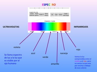 ESPECTRO

ULTRAVIOLETAS

INFRARROJOS

violeta
Se llama espectro
de luz a la luz que
es visible por el
ojo humano

rojo
azul

naranja
verde
amarillo

Vemos la luz
comprendida entre el
violeta y el rojo, pero
no vemos la que esta
por encima o debajo
de esos colores

 