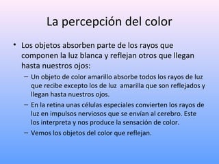 La percepción del color
• Los objetos absorben parte de los rayos que
componen la luz blanca y reflejan otros que llegan
hasta nuestros ojos:
– Un objeto de color amarillo absorbe todos los rayos de luz
que recibe excepto los de luz amarilla que son reflejados y
llegan hasta nuestros ojos.
– En la retina unas células especiales convierten los rayos de
luz en impulsos nerviosos que se envían al cerebro. Este
los interpreta y nos produce la sensación de color.
– Vemos los objetos del color que reflejan.

 