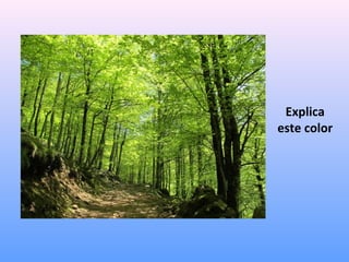Explica
este color

 