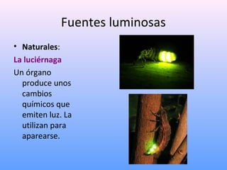 Fuentes luminosas
• Naturales:
La luciérnaga
Un órgano
produce unos
cambios
químicos que
emiten luz. La
utilizan para
aparearse.

 