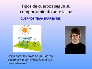 Tipos de cuerpos según su
comportamiento ante la luz
CUERPOS TRANSPARENTES

Dejan pasar los rayos de luz. Por eso
podemos ver con nitidez lo que hay
detrás de ellos.

 