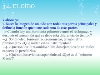 3.4. EL OÍDO
Y ahora tú:
1. Busca la imagen de un oído con todas sus partes principales y
define la función que tiene cada una de esas partes.
—22 Cuando hay una tormenta primero vemos el relámpago y
después el trueno. ¿A qué se debe esta diferencia de tiempo?
—3. Sonómetro, fonómetro, cronómetro, termómetro,
pluviómetro. ¿Qué miden estos instrumentos?
—4. ¿Qué son los ultrasonidos? Cita dos ejemplos de animales
capaces de percibirlos.
—5. ¿Qué son los aviones supersónicos? ¿Qué es el “número
Mach”?
 