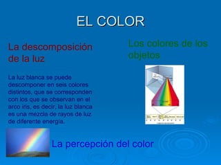 EL COLOR
La descomposición                    Los colores de los
de la luz                            objetos

La luz blanca se puede
descomponer en seis colores
distintos, que se corresponden
con los que se observan en el
arco iris, es decir, la luz blanca
es una mezcla de rayos de luz
de diferente energía.


                 La percepción del color
 