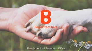 Begin from here
Banqiao Animal Protection Oﬃce
 