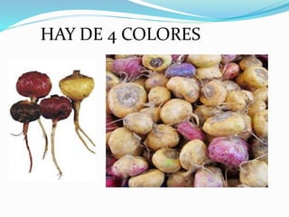 HAY DE 4 COLORES
 