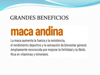 GRANDES BENEFICIOS
 