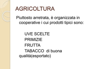 AGRICOLTURA 
Piuttosto arretrata, è organizzata in 
cooperative i cui prodotti tipici sono: 
UVE SCELTE 
PRIMIZIE 
FRUTTA 
TABACCO di buona 
qualità(esportato) 
 