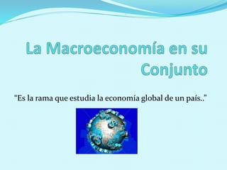 “Es la rama que estudia la economía global de un país..” 
 