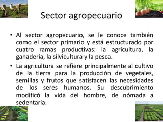 Sector agropecuario
• Al sector agropecuario, se le conoce también
como el sector primario y está estructurado por
cuatro ramas productivas: la agricultura, la
ganadería, la silvicultura y la pesca.
• La agricultura se refiere principalmente al cultivo
de la tierra para la producción de vegetales,
semillas y frutos que satisfacen las necesidades
de los seres humanos. Su descubrimiento
modificó la vida del hombre, de nómada a
sedentaria.
 