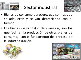 Sector industrial
• Bienes de consumo duradero, que son los que
se adquieren y se van depreciando con el
tiempo.
• Los bienes de capital o de inversión, son los
que facilitan la producción de otros bienes de
consumo, son el fundamento del proceso de
la industrialización.
 