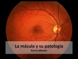 La mácula y su patología
Karina Méndez
 