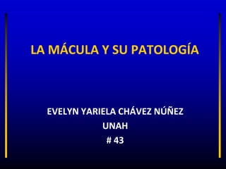 LA MÁCULA Y SU PATOLOGÍA



  EVELYN YARIELA CHÁVEZ NÚÑEZ
             UNAH
              # 43
 