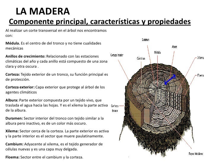 La madera