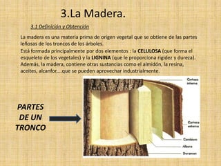 3.La Madera.
     3.1 Definición y Obtención
 La madera es una materia prima de origen vegetal que se obtiene de las partes
 leñosas de los troncos de los árboles.
 Está formada principalmente por dos elementos : la CELULOSA (que forma el
 esqueleto de los vegetales) y la LIGNINA (que le proporciona rigidez y dureza).
 Además, la madera, contiene otras sustancias como el almidón, la resina,
 aceites, alcanfor,...que se pueden aprovechar industrialmente.




 PARTES
 DE UN
TRONCO
 
