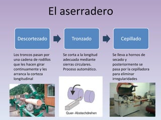 El aserradero Los troncos pasan por una cadena de rodillos que les hacen girar continuamente y les arranca la corteza longitudinal Se corta a la longitud adecuada mediante sierras circulares. Proceso automático. Se lleva a hornos de secado y posteriormente se pasa por la cepilladora para eliminar irregularidades 