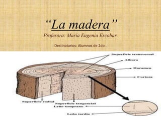 “La madera” Profesora: María Eugenia Escobar. Destinatarios: Alumnos de 2do . 