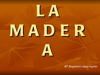 LA
MADER
  A
   Mª Magdalena López Aguilar
 