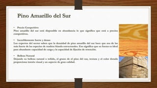 Pino Amarillo del Sur 
• Precio Competitivo 
Pino amarillo del sur está disponible en abundancia lo que significa que está a precios 
competitivos. 
• Increíblemente fuerte y denso 
Los expertos del sector saben que la densidad de pino amarillo del sur hace que sea de las 
más fuerte de las especies de madera blanda estructurales. Eso significa que su fuerza es ideal 
para abundante capacidad de carga y la capacidad de fijación de retención. 
• Belleza Natural 
Dejando su belleza natural o teñido, el grano de el pino del sur, textura y el color dorado 
proporciona interés visual y un aspecto de gran calidad. 
 