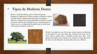 • Tipos de Maderas Duras: 
• Ébano: Es producida por varios árboles del género 
Diospyros, originarios de África, aunque a menudo se llama 
también ébano a maderas parecidas pero de orígenes 
diferentes. Además de su gran densidad convierte en una de 
las pocas maderas que se hunden en, se caracteriza por su 
textura suave y su capacidad de pulido, que la hacen muy 
valiosa para esculturas y adornos. 
• Roble. Su madera es una de las que mejor resisten condiciones 
de humedad no solo muy altas sino también muy bajas. Es de 
color rojizo o pardo claro y también se pule muy bien. Este 
género de árboles ofrece bloques de madera de hasta 40 metros 
de alto y tres de diámetro. Su desarrollo tarda unos 200 año. 
 