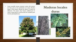 Maderas locales 
duras 
• Casia amarilla (senna siamea): nativa del sureste 
de Asia, pero se ha sembrado en el país. Pueden 
llegar a tener aprox. 60 pies de altura y 1.5 pies de 
diámetro. No posee muy buena calidad por lo 
tanto es apto para la construcción de muebles para 
interior principalmente. 
 