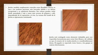 • Jatoba: también ampliamente conocida como Brazillian Cherry, es 
una e las maderas preciosas más buscadas debido a su dureza 
excepcional y su apariencia llamativa. Sus colores pueden variar 
desde anaranjado y rojo a tonos más oscuros de púrpura y café, 
dependiendo de la exposición a la luz. La textura del vetado de la 
Jatoba es típicamente entrelazado. 
Jatoba está catalogada como altamente trabajable, pero son 
requeridas herramientas para cortar bien filosas y de calidad, 
ya que el corazón de la madera Jatoba es considerablemente 
densa. El pegado es reportado como bueno y las grapas se 
sujetan efectivamente. 
 