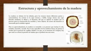 Estructura y aprovechamiento de la madera 
La madera se obtiene de los árboles, pero los troncos tienen diferentes partes y 
características. La corteza es la capa externa y visible. Luego vienen una capa 
llamada cámbium, la albura y el duramen, del que se obtiene la madera que se 
procesa para la construcción de muebles y otros objetos. El centro del duramen es 
atravesado por la médula vegetal. 
Para su aprovechamiento, la madera es sometida a un proceso que incluye la tala, 
traslado, aserrado y secado. En el caso específico de las maderas duras, las piezas se 
venden por lo general sin cepillar, debido a lo que, en el momento de comprar, hay 
que tener en cuenta la porción de madera que se perderá tras esta tarea. 
 