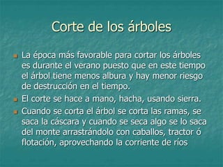 Corte de los árboles
 La época más favorable para cortar los árboles
es durante el verano puesto que en este tiempo
el árbol tiene menos albura y hay menor riesgo
de destrucción en el tiempo.
 El corte se hace a mano, hacha, usando sierra.
 Cuando se corta el árbol se corta las ramas, se
saca la cáscara y cuando se seca algo se lo saca
del monte arrastrándolo con caballos, tractor ó
flotación, aprovechando la corriente de ríos
 