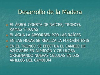 Desarrollo de la Madera
 EL ÁRBOL CONSTA DE RAÍCES, TRONCO,
RAMAS Y HOJAS
 EL AGUA LA ABSORBEN POR LAS RAÍCES
 EN LAS HOJAS SE REALIZA LA FOTOSÍNTESIS
 EN EL TRONCO SE EFECTUA EL CAMBIO DE
AZÚCARES EN ALMIDÓN Y CELULOSA
ORIGINANDO NUEVAS CÉLULAS EN LOS
ANILLOS DEL CAMBIUM
 