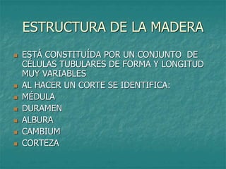 ESTRUCTURA DE LA MADERA
 ESTÁ CONSTITUÍDA POR UN CONJUNTO DE
CÉLULAS TUBULARES DE FORMA Y LONGITUD
MUY VARIABLES
 AL HACER UN CORTE SE IDENTIFICA:
 MÉDULA
 DURAMEN
 ALBURA
 CAMBIUM
 CORTEZA
 