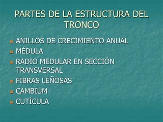 PARTES DE LA ESTRUCTURA DEL
TRONCO
 ANILLOS DE CRECIMIENTO ANUAL
 MÉDULA
 RADIO MEDULAR EN SECCIÓN
TRANSVERSAL
 FIBRAS LEÑOSAS
 CAMBIUM
 CUTÍCULA
 
