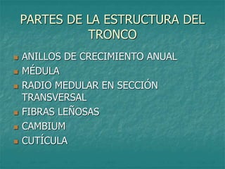 PARTES DE LA ESTRUCTURA DEL
TRONCO
 ANILLOS DE CRECIMIENTO ANUAL
 MÉDULA
 RADIO MEDULAR EN SECCIÓN
TRANSVERSAL
 FIBRAS LEÑOSAS
 CAMBIUM
 CUTÍCULA
 