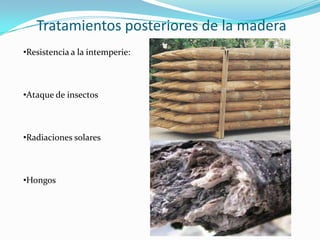 Tratamientos posteriores de la madera
•Resistencia a la intemperie:



•Ataque de insectos



•Radiaciones solares



•Hongos
 