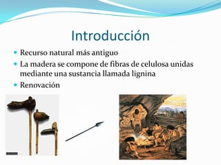 Introducción
 Recurso natural más antiguo
 La madera se compone de fibras de celulosa unidas
  mediante una sustancia llamada lignina
 Renovación
 