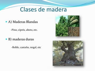 Clases de madera
 A) Maderas Blandas

   -Pino, ciprés, abeto, etc.


 B) maderas duras

   -Roble, castaño, nogal, etc
 
