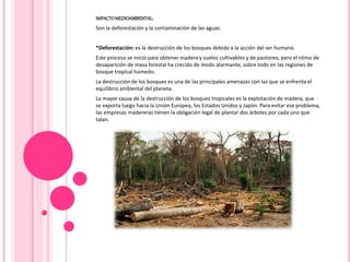 IMPACTOMEDIOAMBIENTAL:
Son la deforestación y la contaminación de las aguas.
*Deforestación: es la destrucción de los bosques debido a la acción del ser humano.
Este proceso se inició para obtener madera y suelos cultivables y de pastoreo, pero el ritmo de
desaparición de masa forestal ha crecido de modo alarmante, sobre todo en las regiones de
bosque tropical húmedo.
La destrucción de los bosques es una de las principales amenazas con las que se enfrenta el
equilibrio ambiental del planeta.
La mayor causa de la destrucción de los bosques tropicales es la explotación de madera, que
se exporta luego hacia la Unión Europea, los Estados Unidos y Japón. Para evitar ese problema,
las empresas madereras tienen la obligación legal de plantar dos árboles por cada uno que
talan.
 