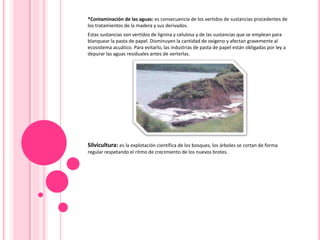 *Contaminación de las aguas: es consecuencia de los vertidos de sustancias procedentes de
los tratamientos de la madera y sus derivados.
Estas sustancias son vertidos de lignina y celulosa y de las sustancias que se emplean para
blanquear la pasta de papel. Disminuyen la cantidad de oxígeno y afectan gravemente al
ecosistema acuático. Para evitarlo, las industrias de pasta de papel están obligadas por ley a
depurar las aguas residuales antes de verterlas.
Silvicultura: es la explotación científica de los bosques, los árboles se cortan de forma
regular respetando el ritmo de crecimiento de los nuevos brotes.
 