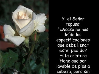 Y  el Señor repuso: “ ¿Acaso no has leído las especificaciones que debe llenar este  pedido? Esta criatura tiene que ser lavable de pies a cabeza, pero sin ser de plástico. 