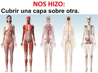 NOS HIZO:
Cubrir una capa sobre otra.
 