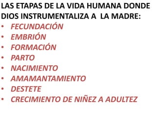 LAS ETAPAS DE LA VIDA HUMANA DONDE
DIOS INSTRUMENTALIZA A LA MADRE:
• FECUNDACIÓN
• EMBRIÓN
• FORMACIÓN
• PARTO
• NACIMIENTO
• AMAMANTAMIENTO
• DESTETE
• CRECIMIENTO DE NIÑEZ A ADULTEZ
 