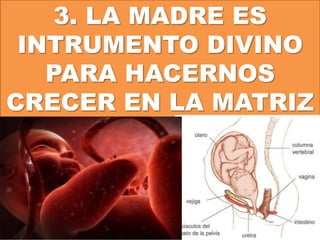 3. LA MADRE ES
INTRUMENTO DIVINO
PARA HACERNOS
CRECER EN LA MATRIZ
 