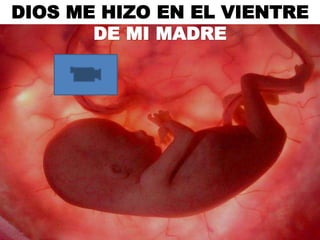 DIOS ME HIZO EN EL VIENTRE
DE MI MADRE
 
