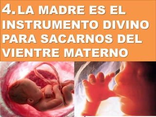 4.LA MADRE ES EL
INSTRUMENTO DIVINO
PARA SACARNOS DEL
VIENTRE MATERNO
 
