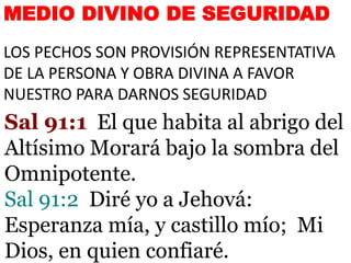 MEDIO DIVINO DE SEGURIDAD
LOS PECHOS SON PROVISIÓN REPRESENTATIVA
DE LA PERSONA Y OBRA DIVINA A FAVOR
NUESTRO PARA DARNOS SEGURIDAD
Sal 91:1 El que habita al abrigo del
Altísimo Morará bajo la sombra del
Omnipotente.
Sal 91:2 Diré yo a Jehová:
Esperanza mía, y castillo mío; Mi
Dios, en quien confiaré.
 