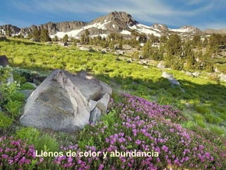 Llenos de color y abundancia 