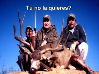 Tú no la quieres? Tú no la quieres? 