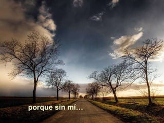 porque sin mí… 