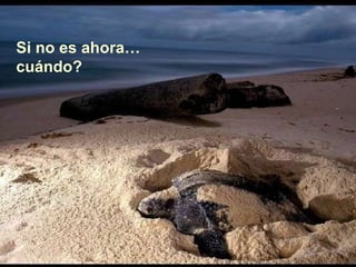 Si no es ahora… cuándo? 