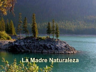La Madre Naturaleza La Madre Naturaleza 