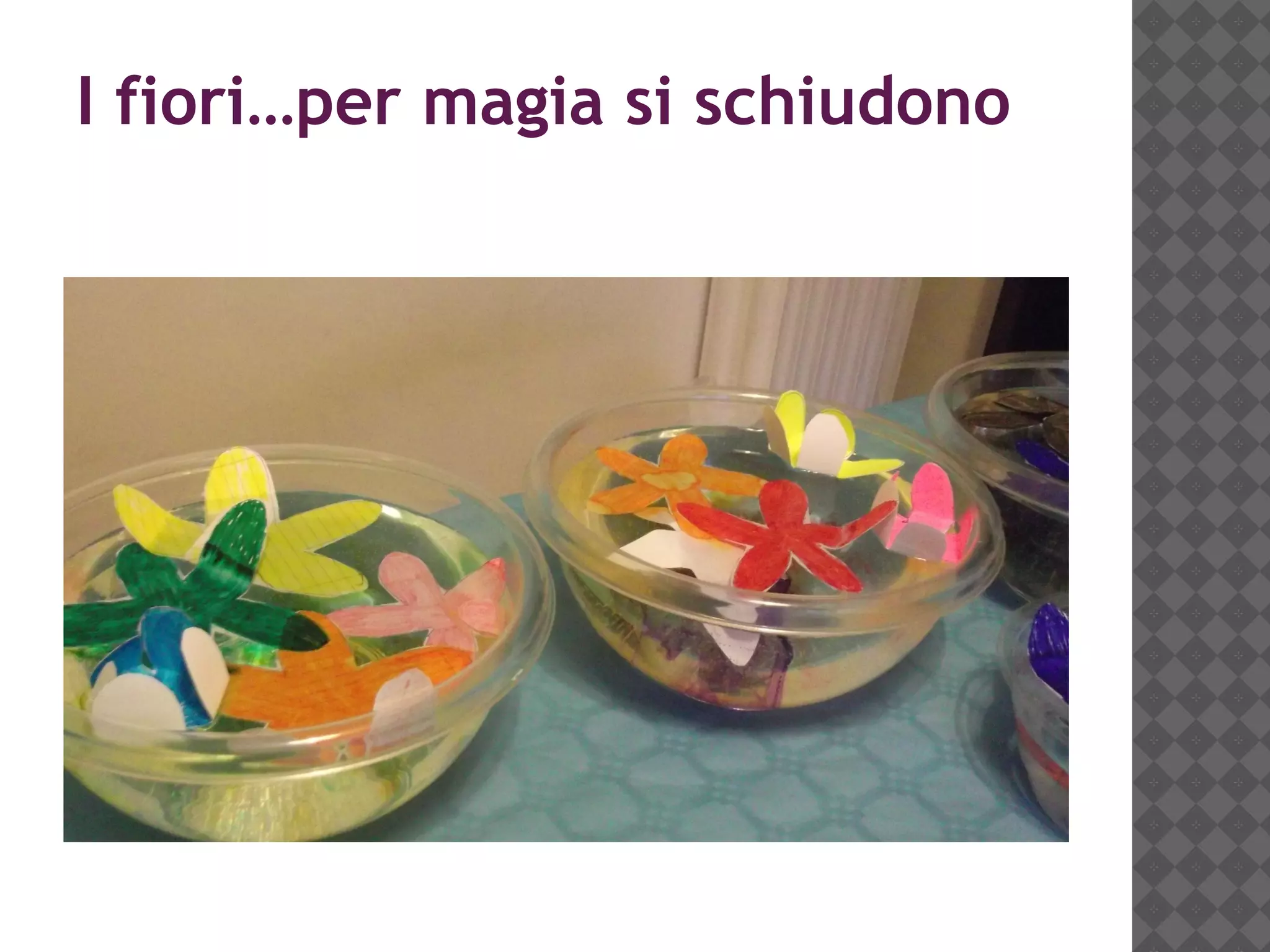 Trucco Di Magia Per Bambini: Pianta Magica 3D – Gioco Di Prestigio Con Fiori Che Spuntano